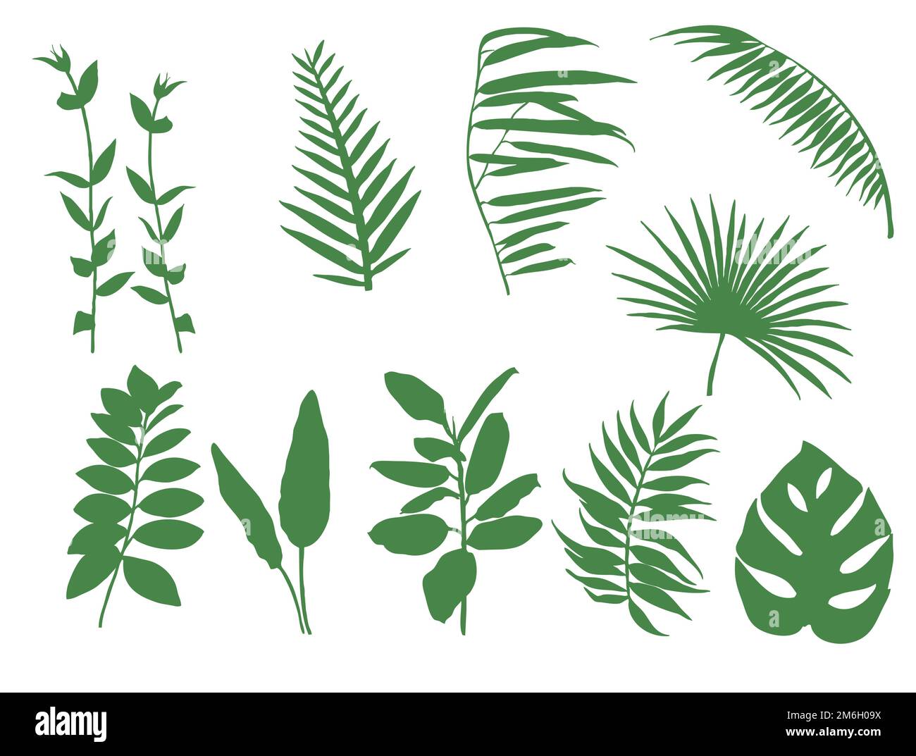 A set of blades of grass and leaves (10 pieces Stock Vector Image & Art