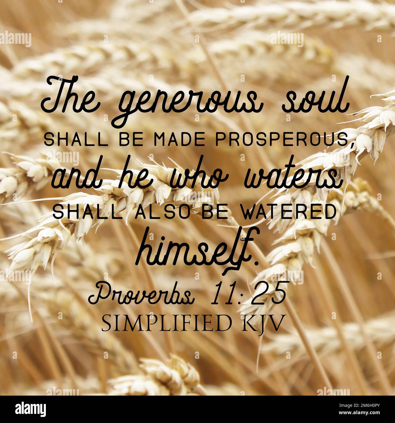 proverbs-11-45-off-www-micoope-gt