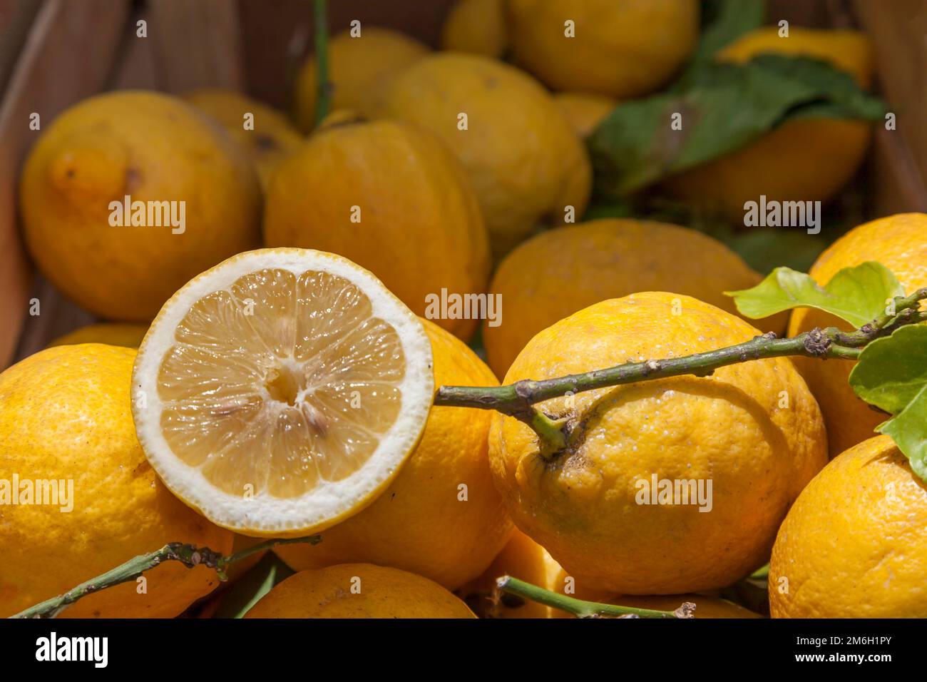 Sicilian lemons on sale Stock Photo - Alamy