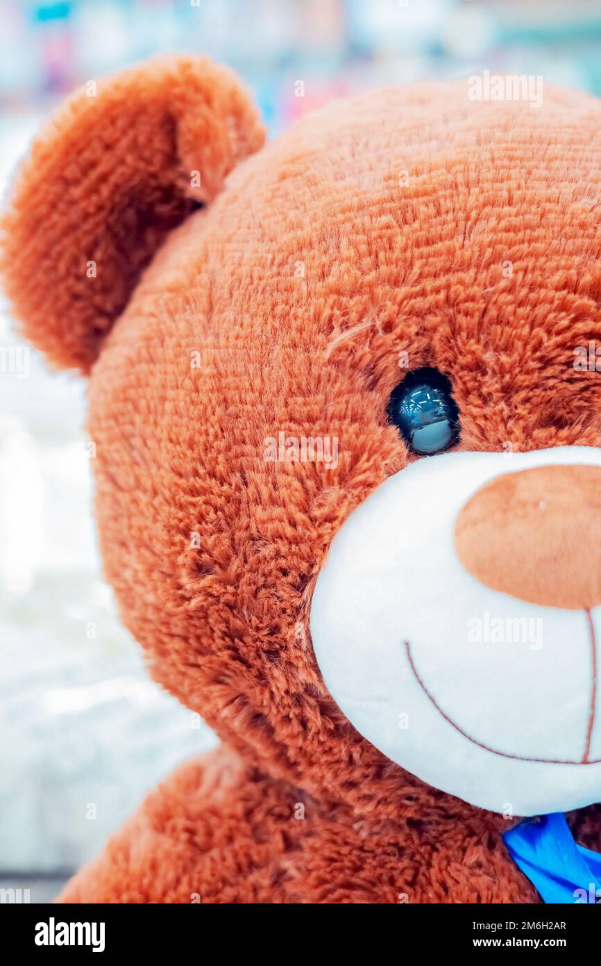 Part of the head of a large brown teddy bear. Children's soft toy Stock Photo