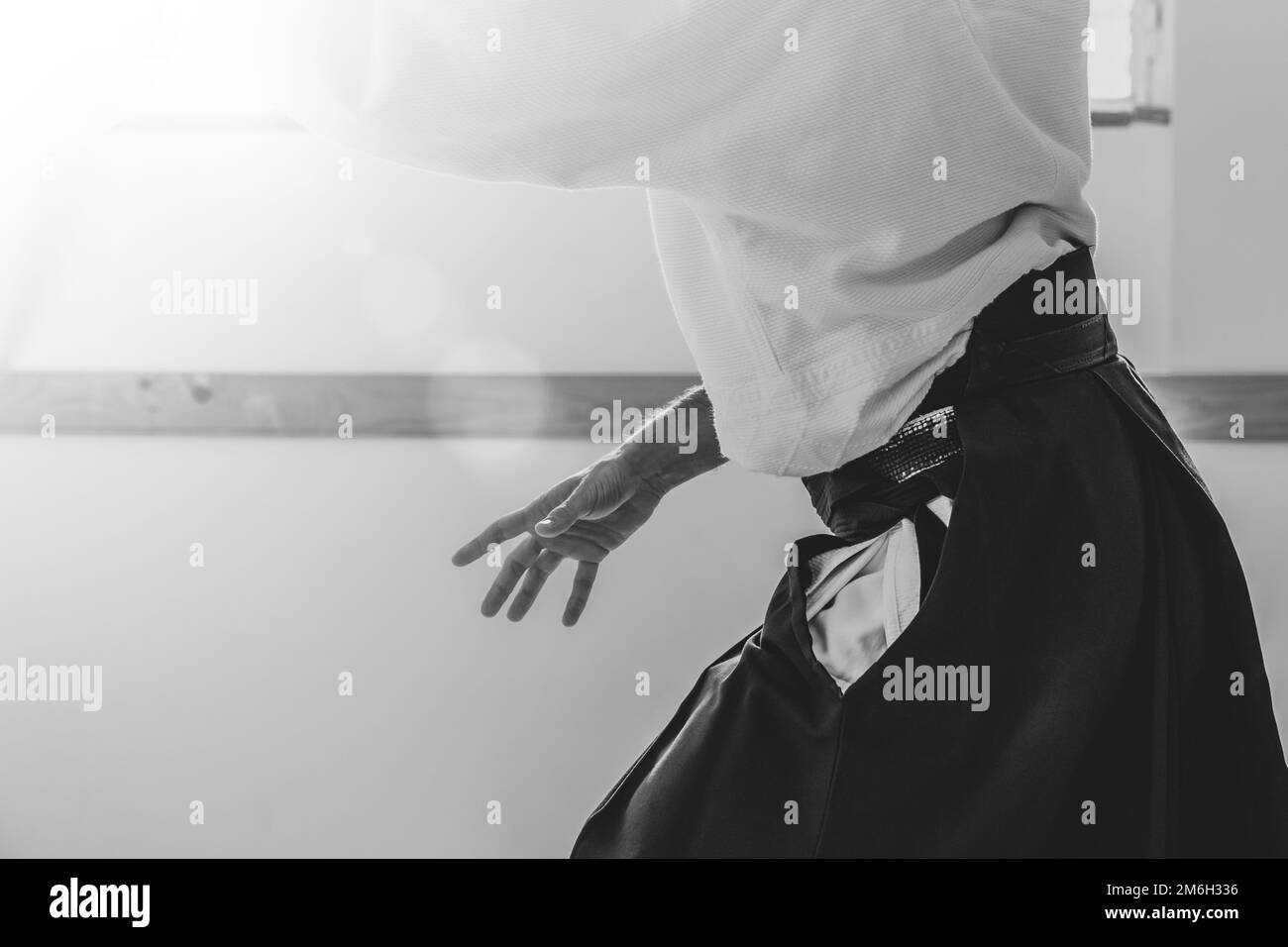 Martial arts man practicing Black and White Stock Photos & Images - Alamy