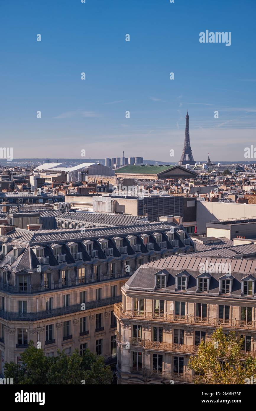 View of the Eiffel Tower from a Rooftop Paris, France Stock Photo Alamy