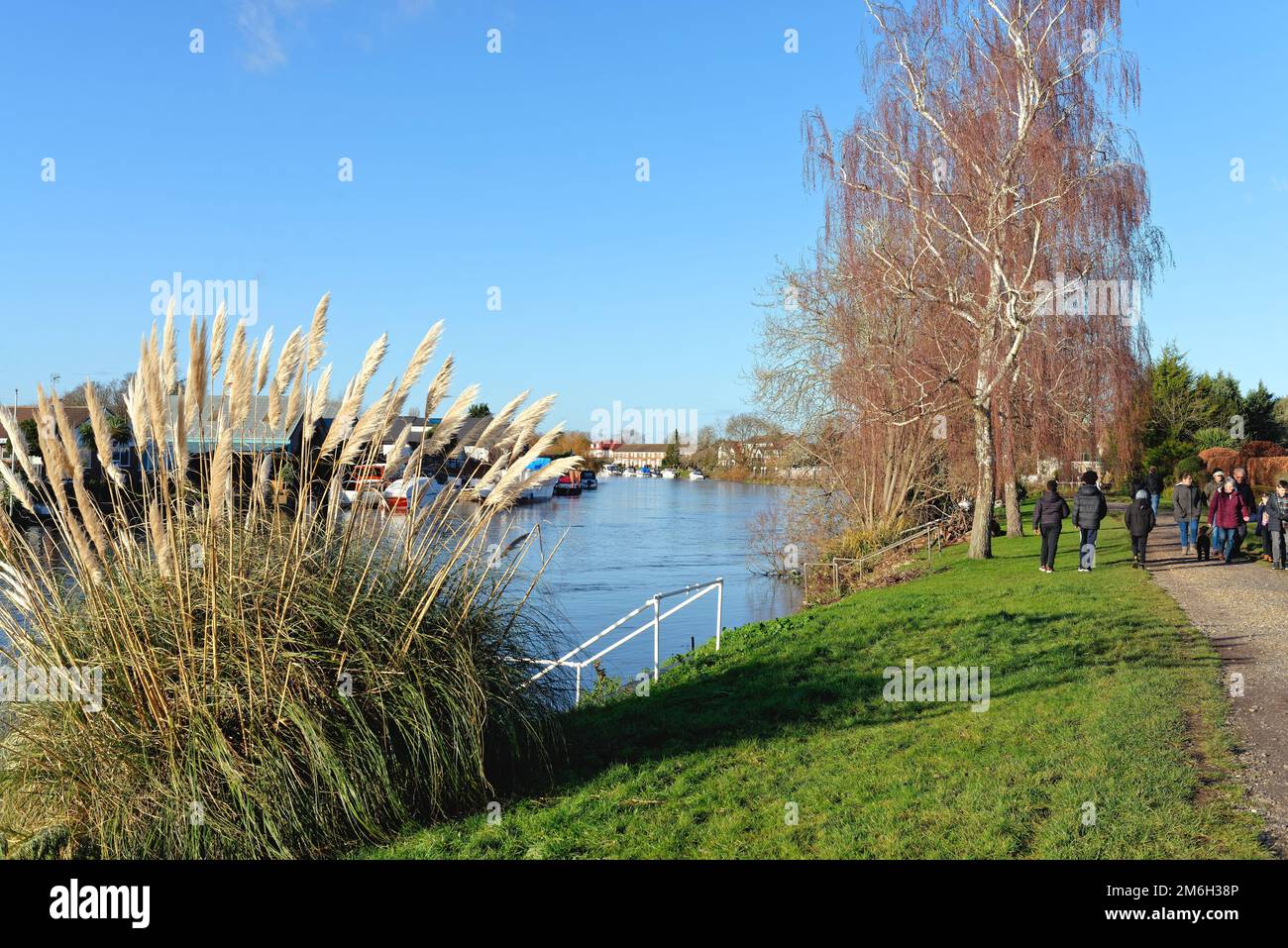 The River Thames and riverside at Laleham Staines on a sunny winters