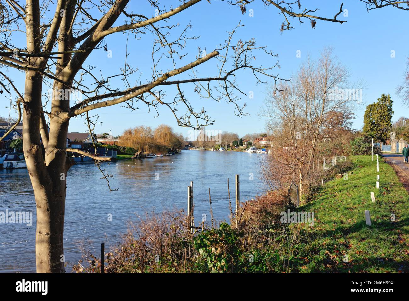 The River Thames and riverside at Laleham Staines on a sunny winters