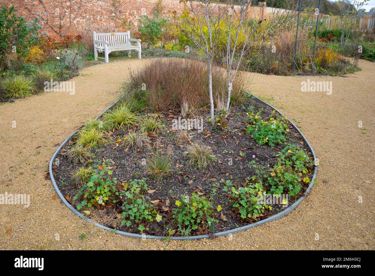 Early winter image of Kirkleatham walled Garden with autumn foliage cleared away Stock Photo Alamy