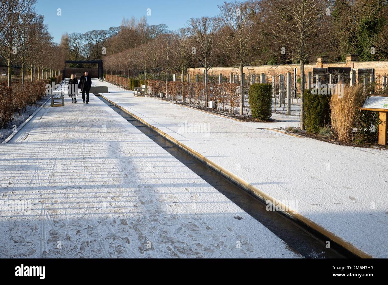 A man and woman on the avenue in the Kirkleatham Walled Garden   with the first snow of winter Stock Photo