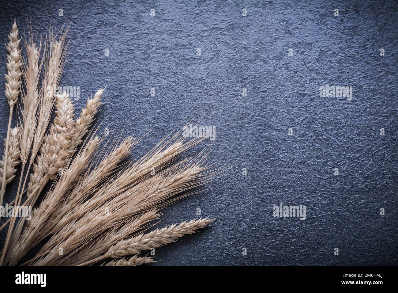 Bunch of wheat and rye ears on black background Stock Photo - Alamy