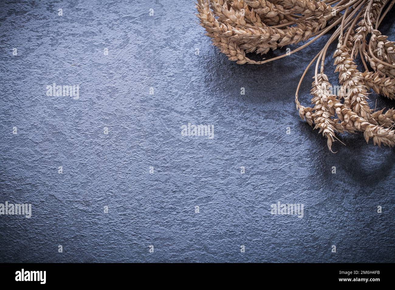 Bunch of wheat and rye ears on black surface horizontal version Stock ...