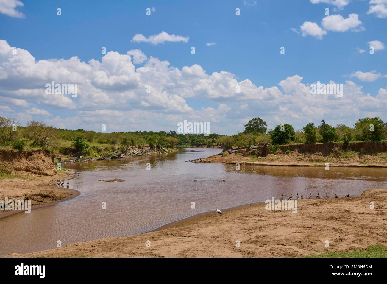 Savannah landscape with river, Mara River, Maasai Mara National Reserve, Kenya Stock Photo