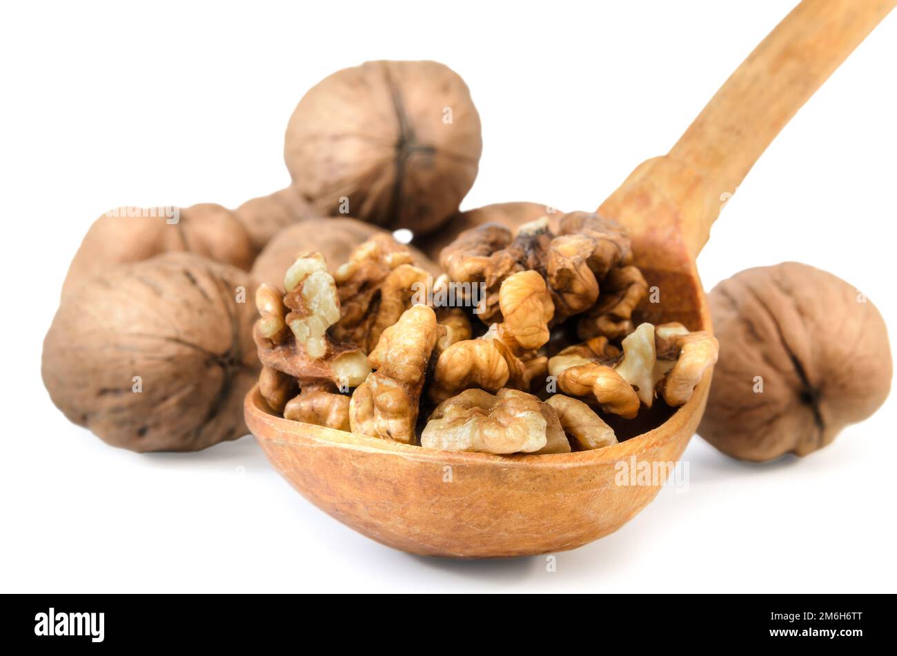 Walnuts on white background with soft shadow Stock Photo
