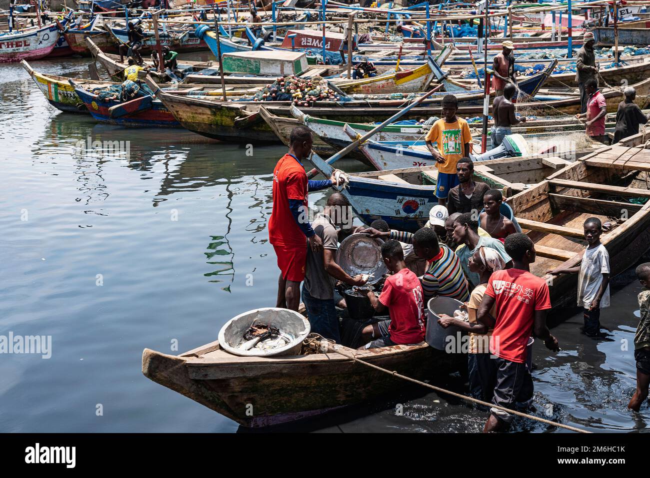 Fisherman with catch in fishing boat, fish market, fishing port Elmina