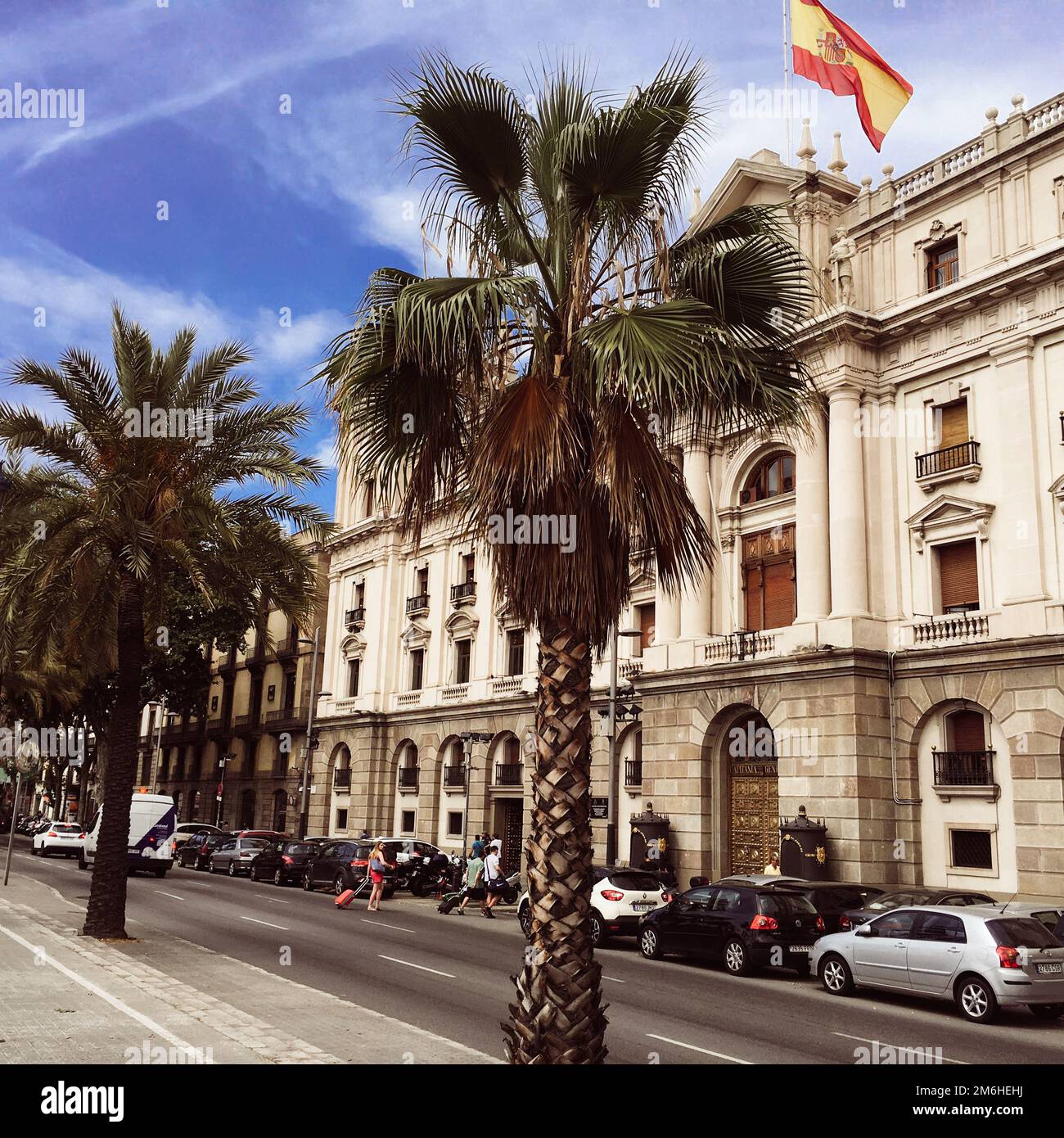A view of the Palace of the Captaincy General of Barcelona and palm trees dividing the lanes Stock Photo
