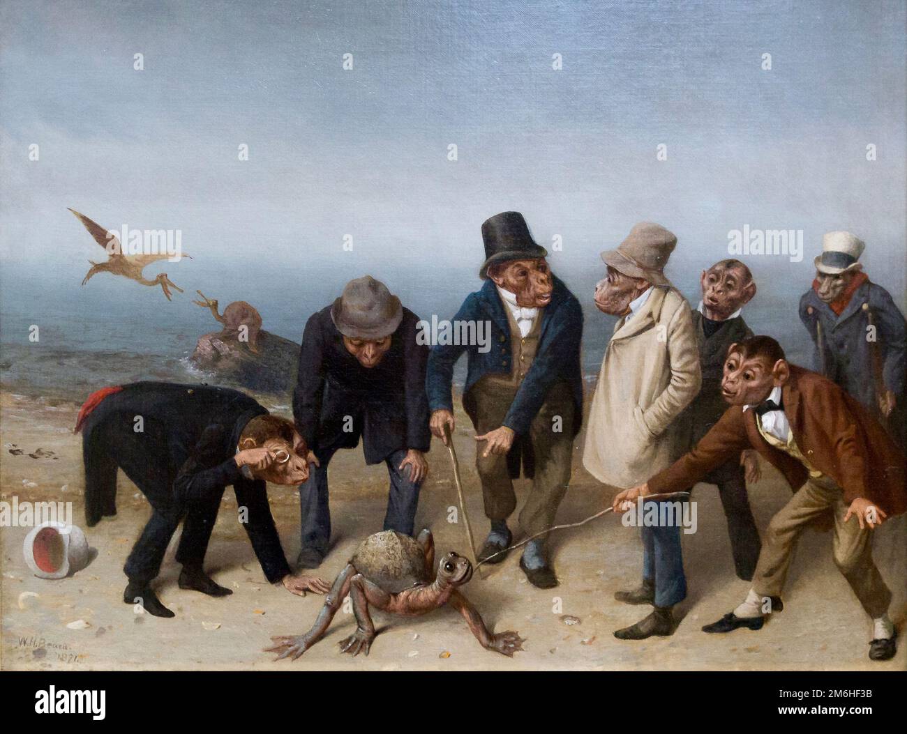 William Holbrook Beard - The Discovery of Adam - 1891 - Monkeys on a beach discussing Charles Darwin's ideas, the meaning of life and everything else. Stock Photo