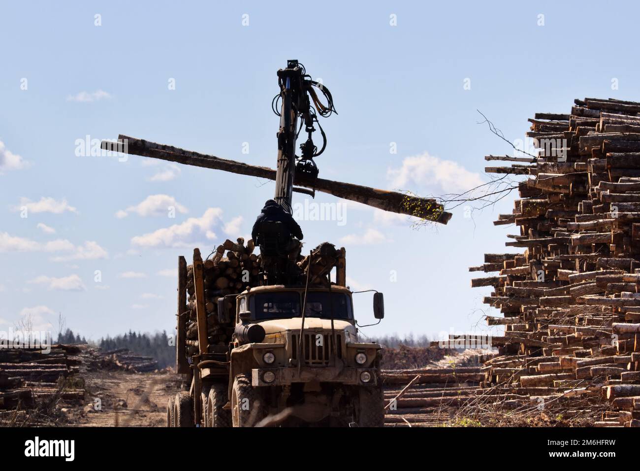 Operations for loading a logging truck Stock Photo - Alamy