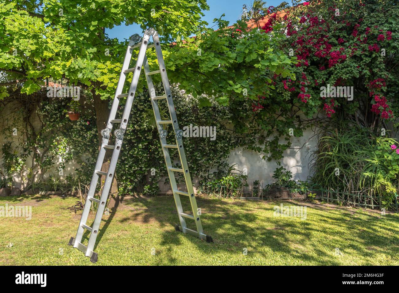 Aluminium ladder on the grass in the house garden Stock Photo
