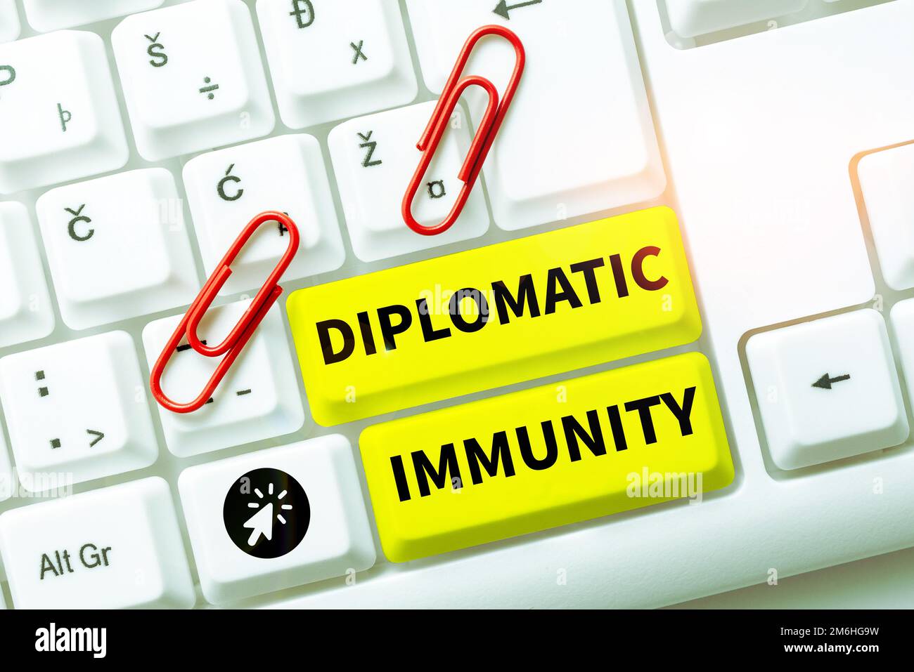 Inspiration showing sign Diplomatic Immunity. Business showcase law