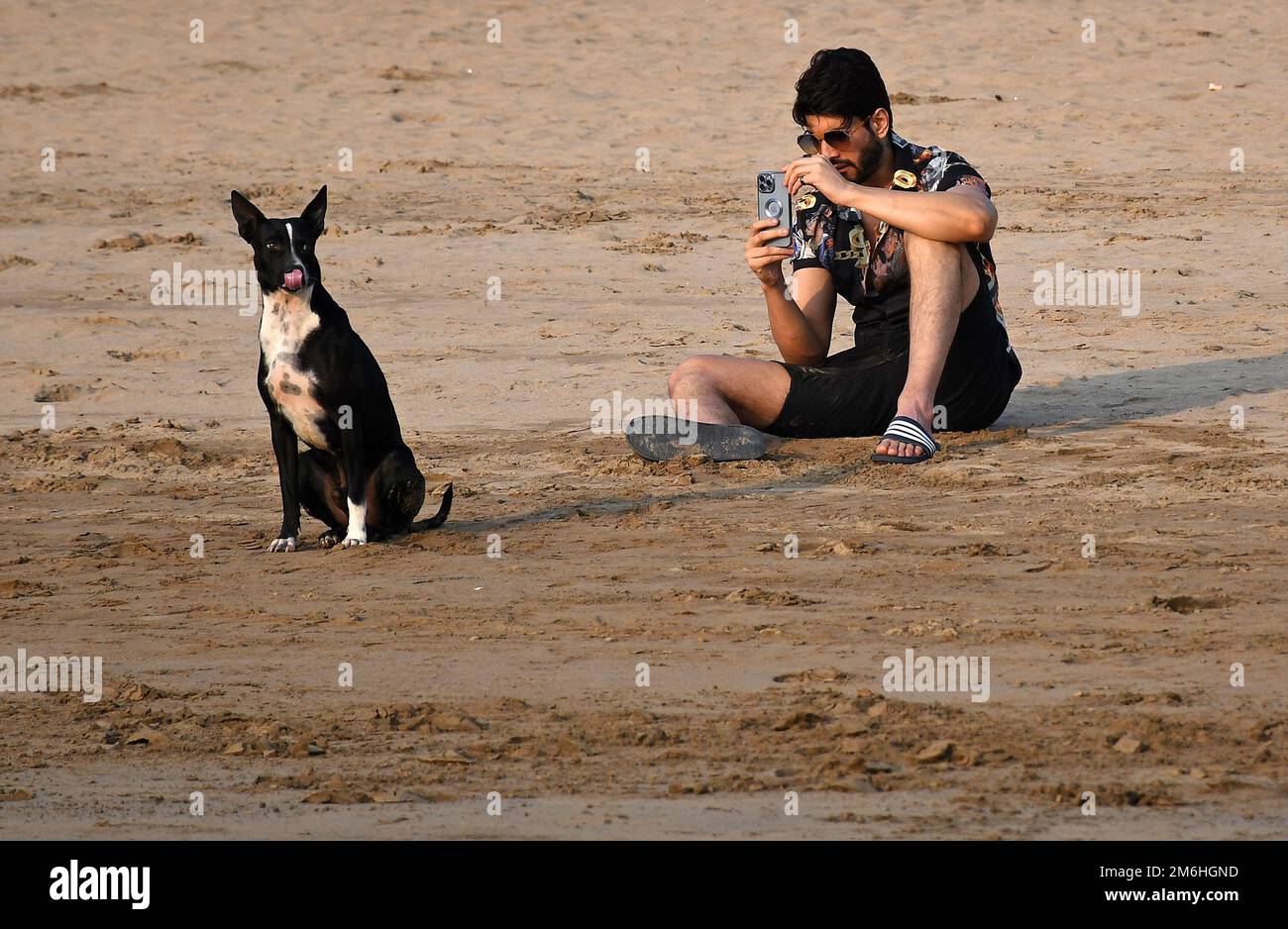 Man meeting animal hi-res stock photography and images - Page 2 - Alamy