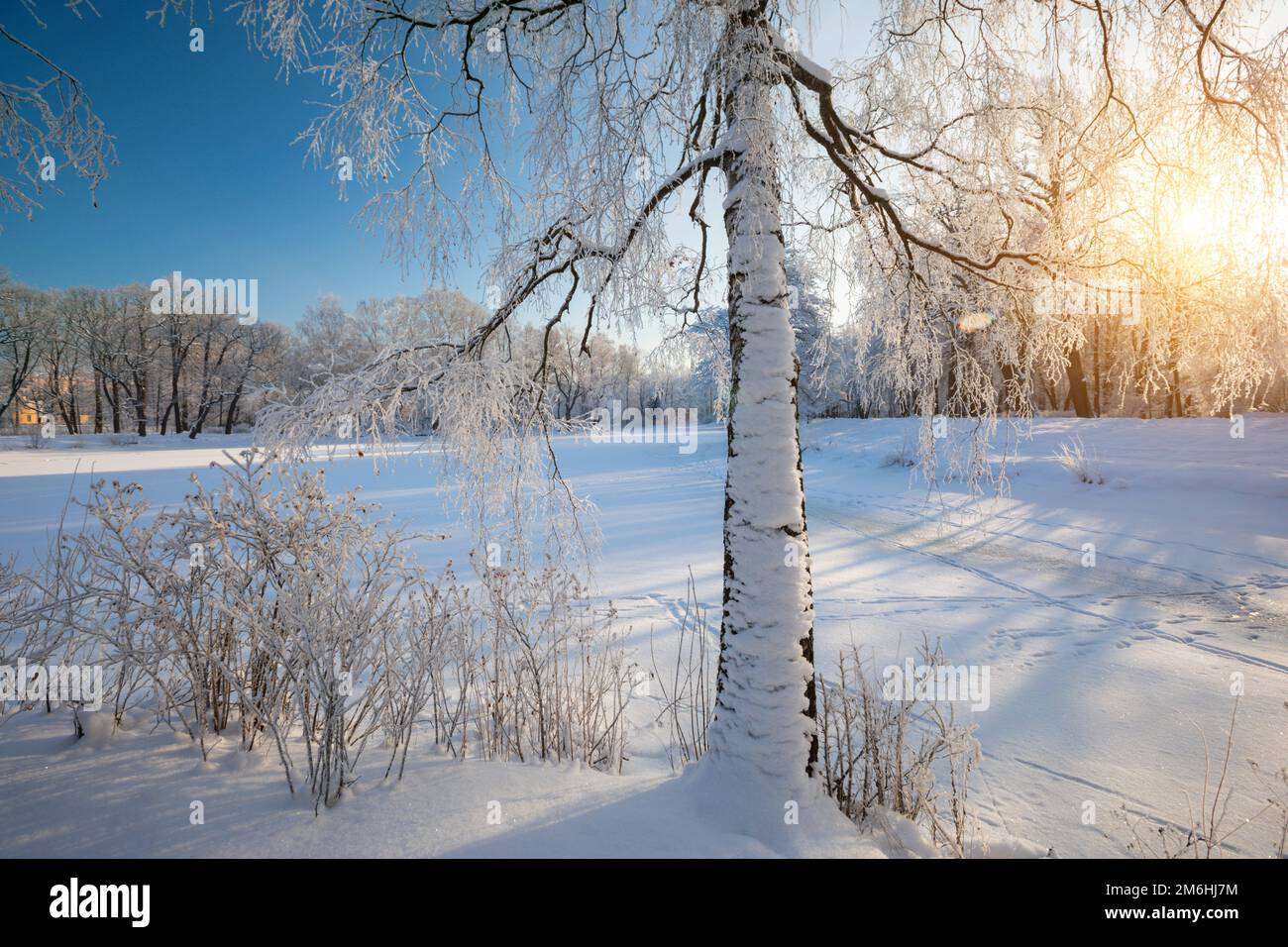 Sunny weather day beautiful hi-res stock photography and images - Alamy