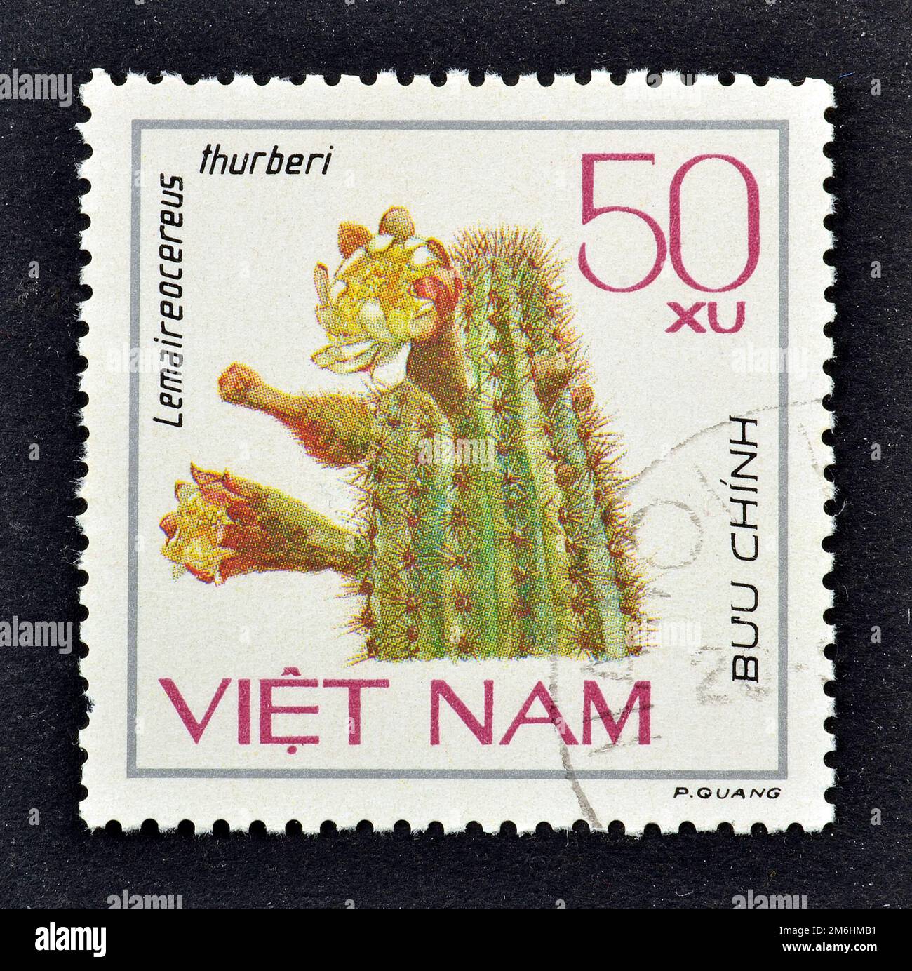 Cancelled postage stamp printed by Vietnam, that shows Organ-pipe cactus (Lemaireocereus thurberi), circa 1985. Stock Photo