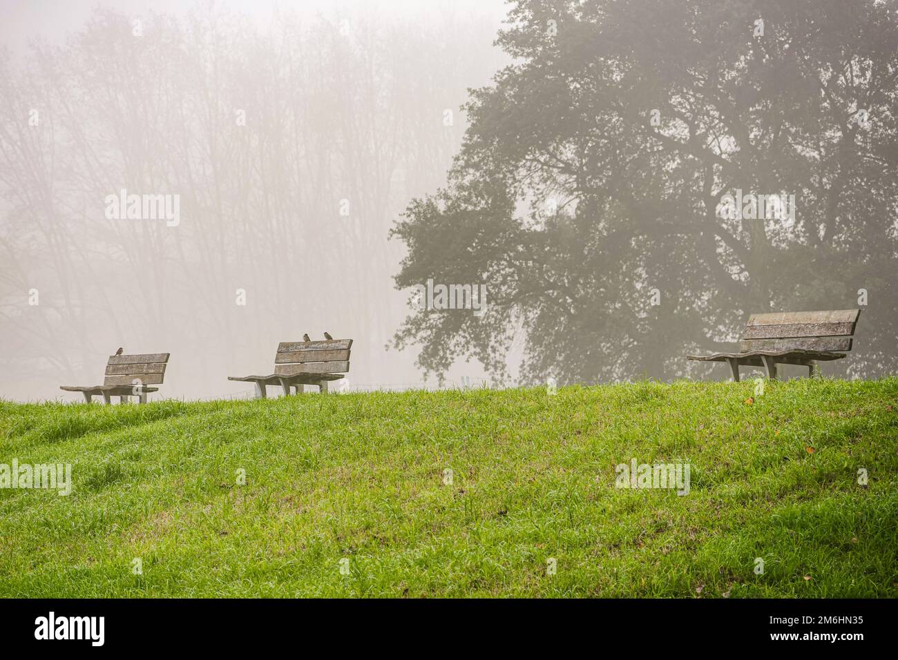 Beautiful shot wooden benches hi-res stock photography and images - Alamy