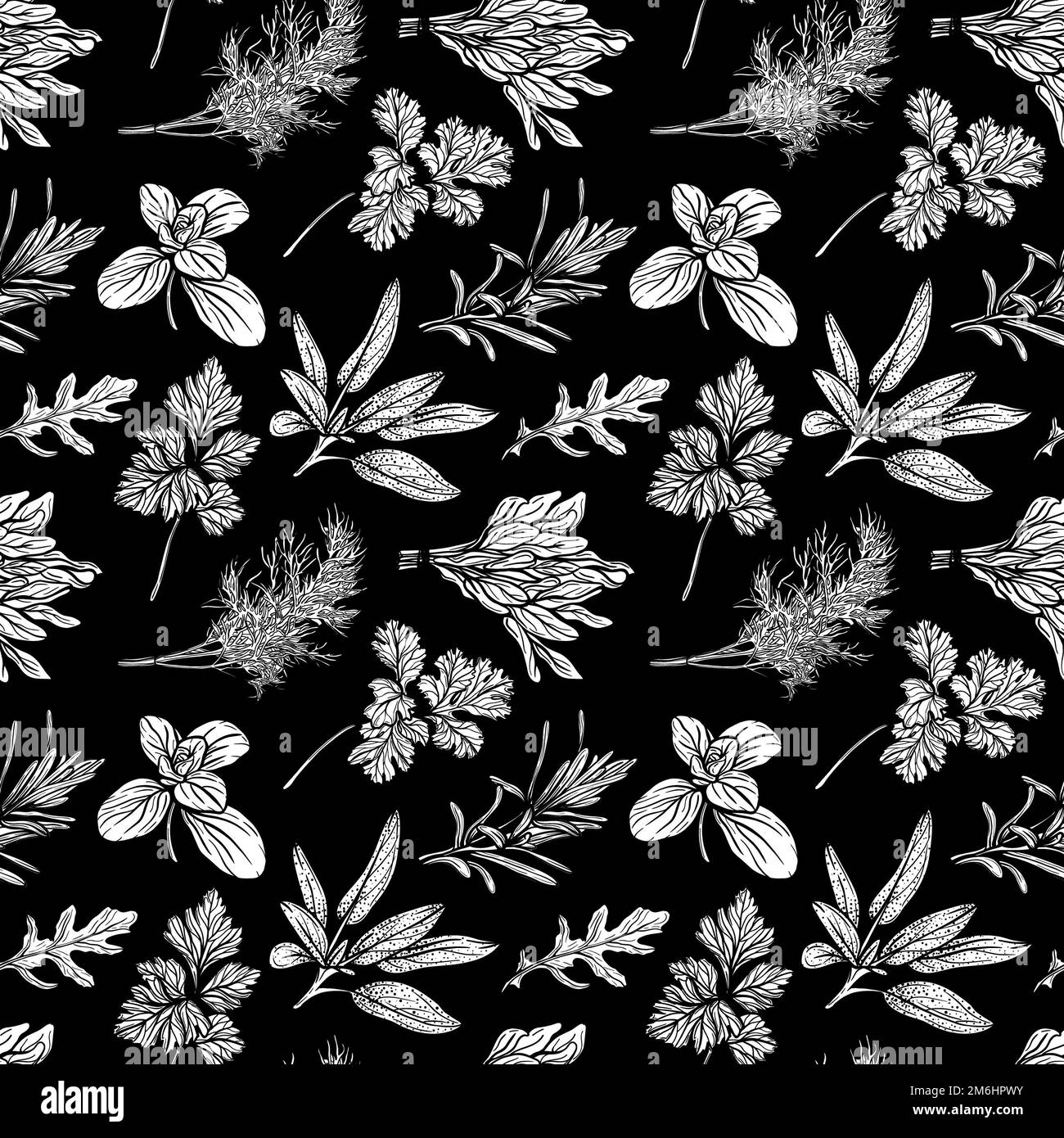 Seasonings and herbs seamless pattern. Stock Photo