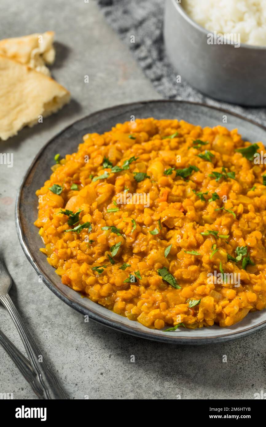 Homemade Lentil Dal with Rice and Cilantro Stock Photo