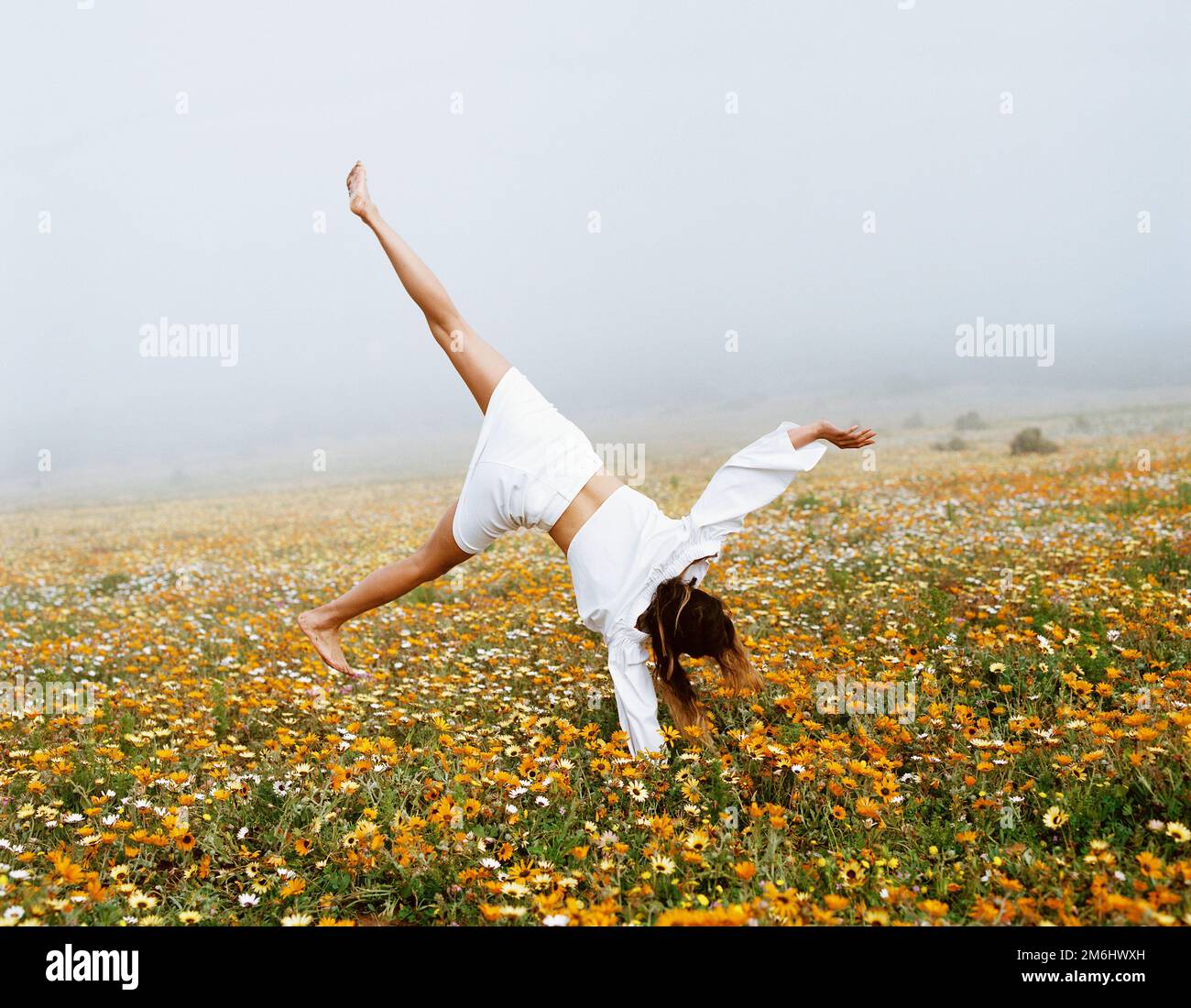 A female in a white dress doing cartwheel on a field covered with ...
