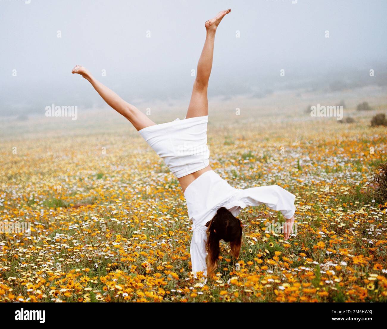 A female in a white dress doing cartwheel on a field covered with ...