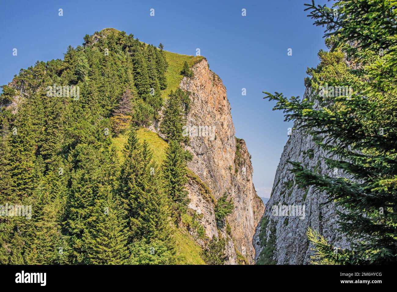 High trail from the mountain Hoher Kasten to Staubern, Switzerland Stock Photo