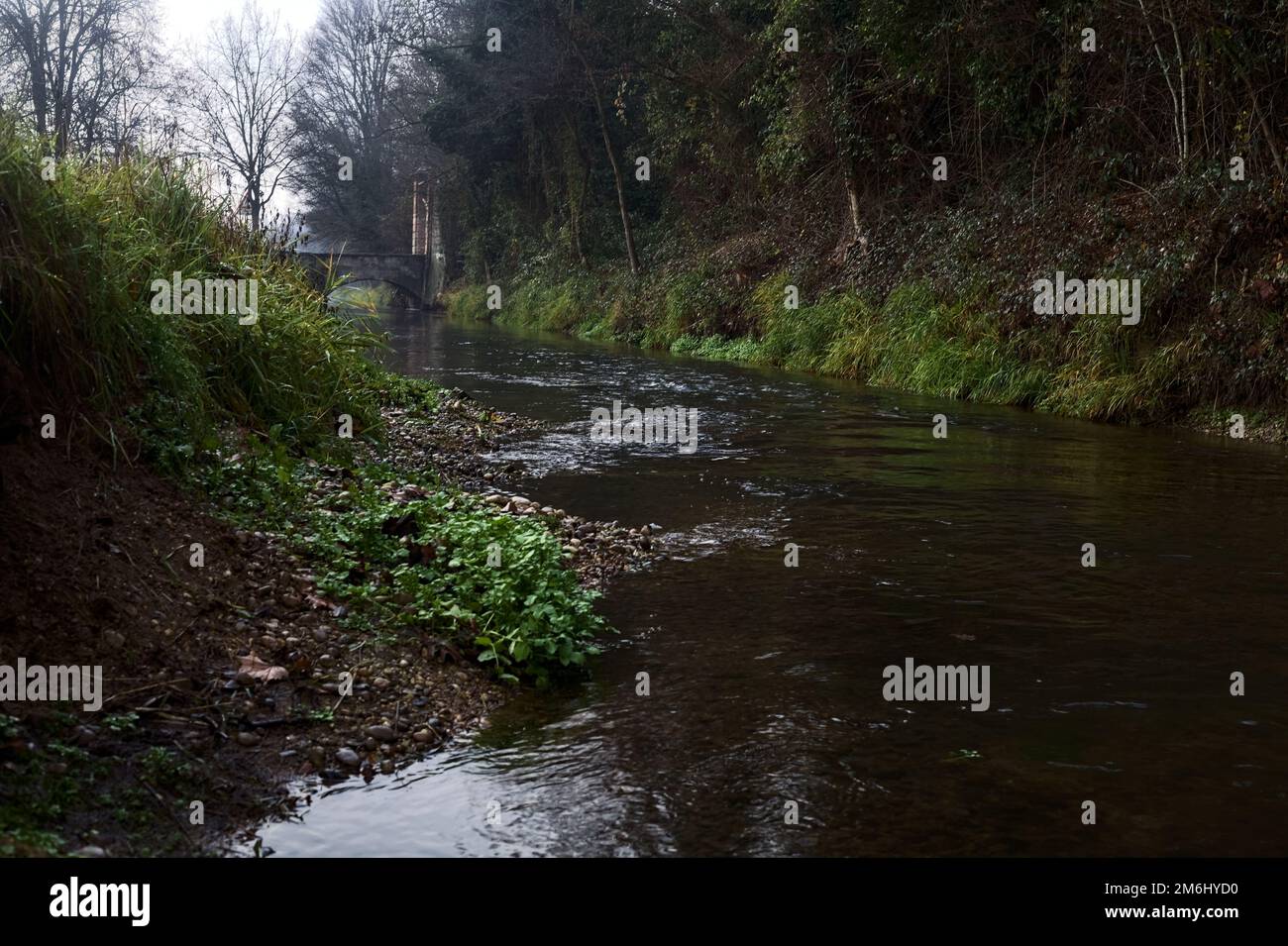 Stream  of water next to a forest with a bridge at the entrance of it on a cloudy day in winter Stock Photo