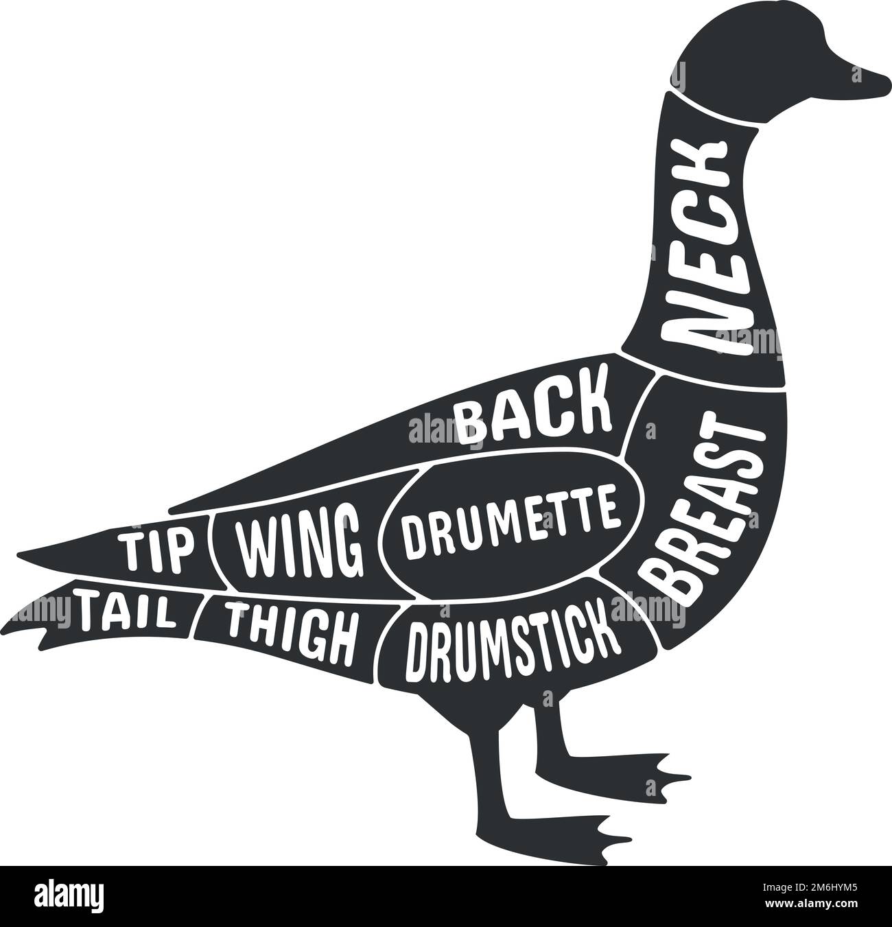 Goose poultry butcher scheme. Farm bird cutting diagram isolated on