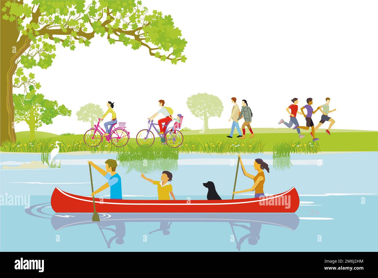 Canoeing in the leisure  illustration Stock Photo