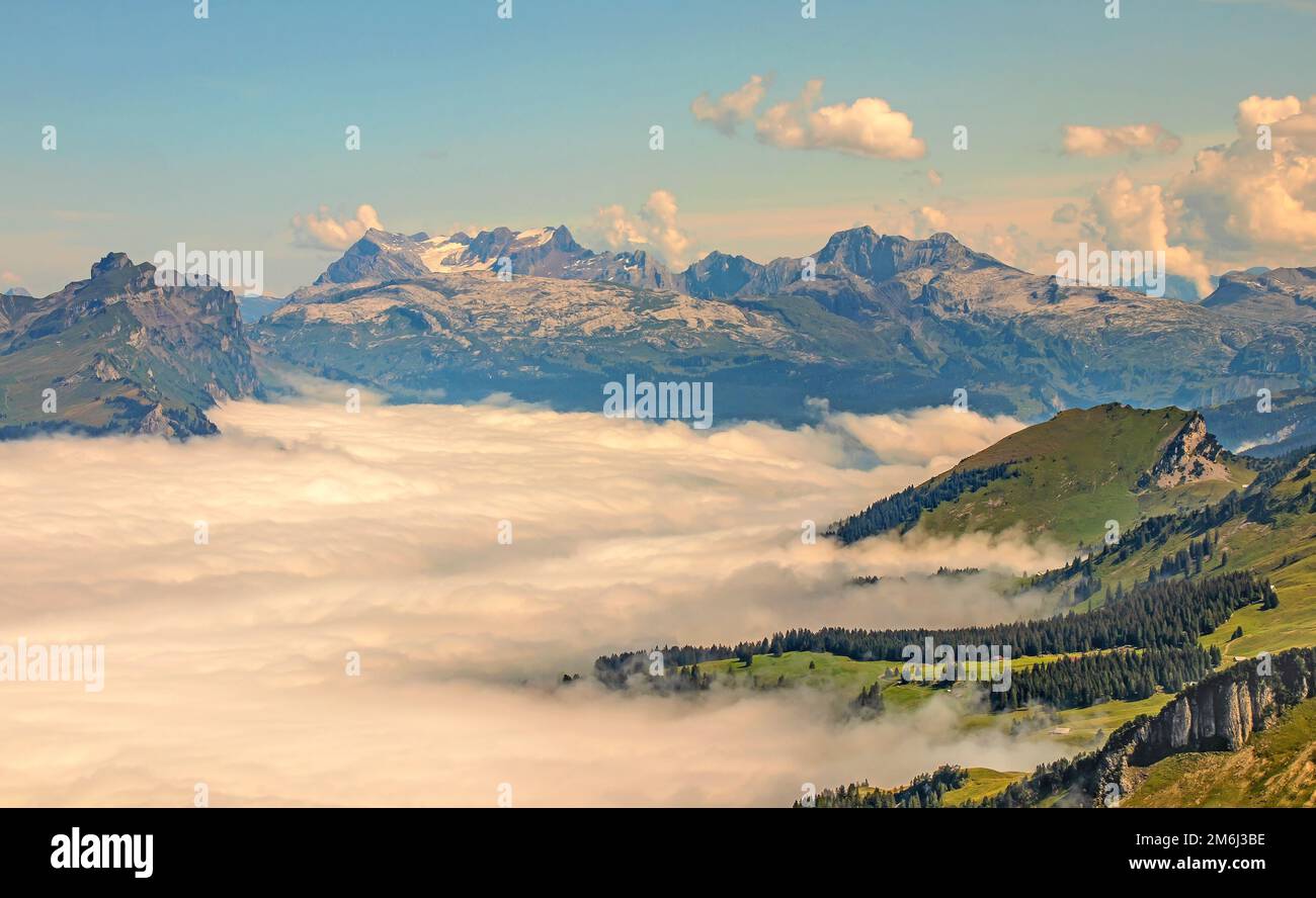 Swiss alps above clouds hi-res stock photography and images - Alamy