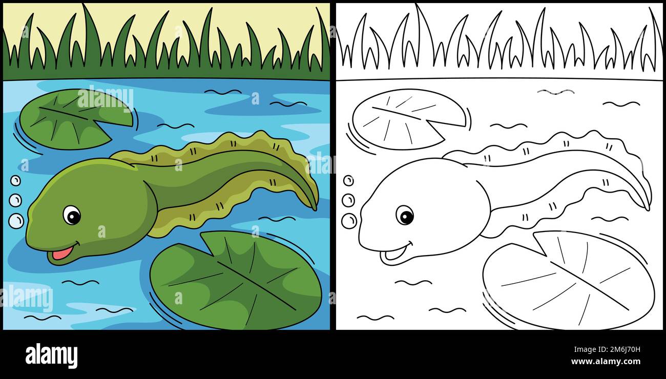 Tadpole Animal Coloring Page Colored Illustration Stock Vector Image