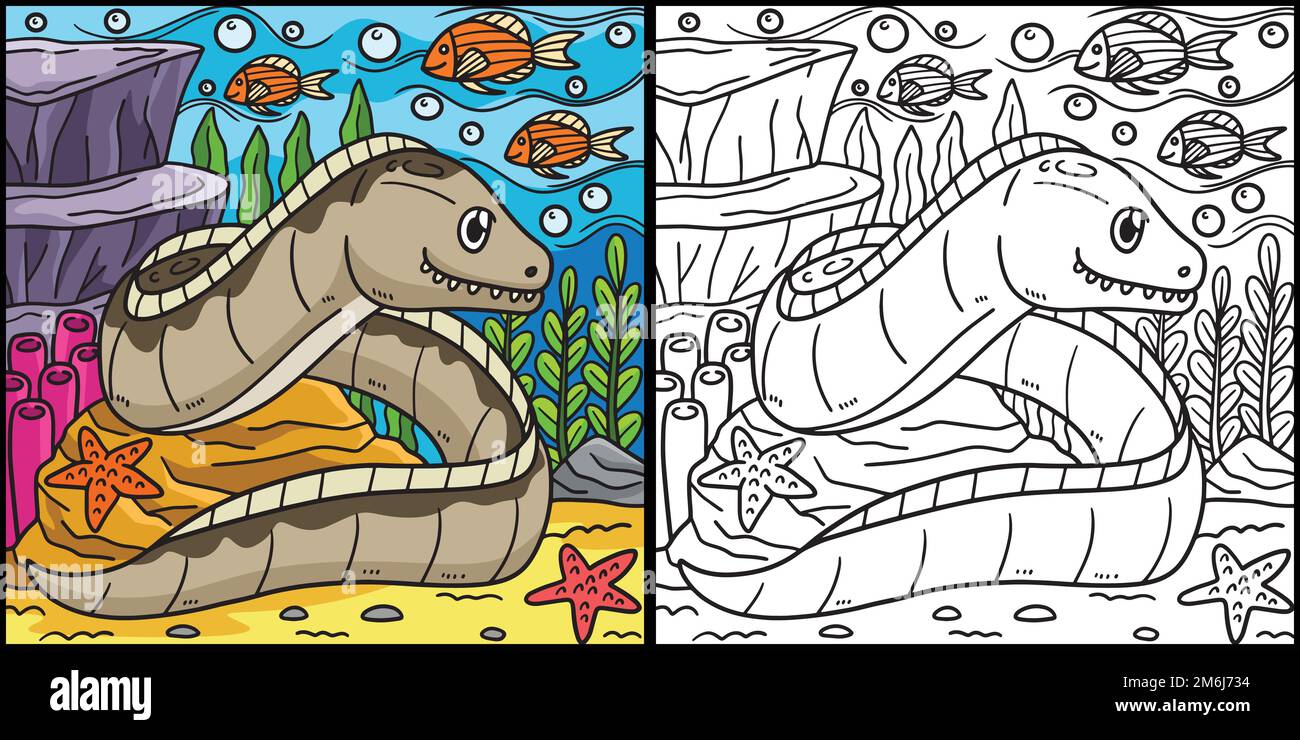 Eel Coloring Page Colored Illustration Stock Vector Image & Art - Alamy