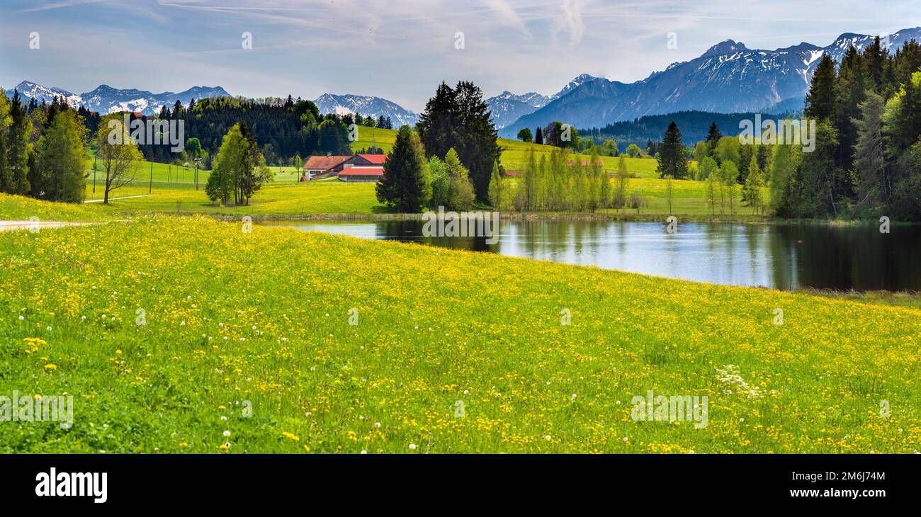 Green color land hi-res stock photography and images - Alamy