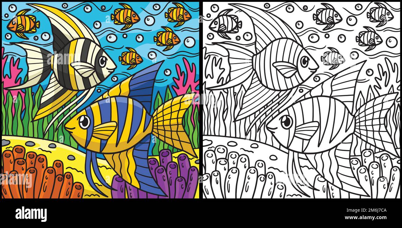 Angelfish Coloring Page Colored Illustration Stock Vector Image & Art ...