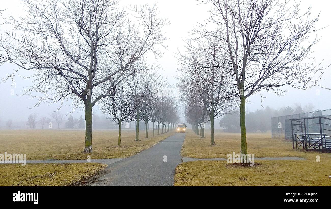 A moving truck in the public park on a foggy morning Stock Photo