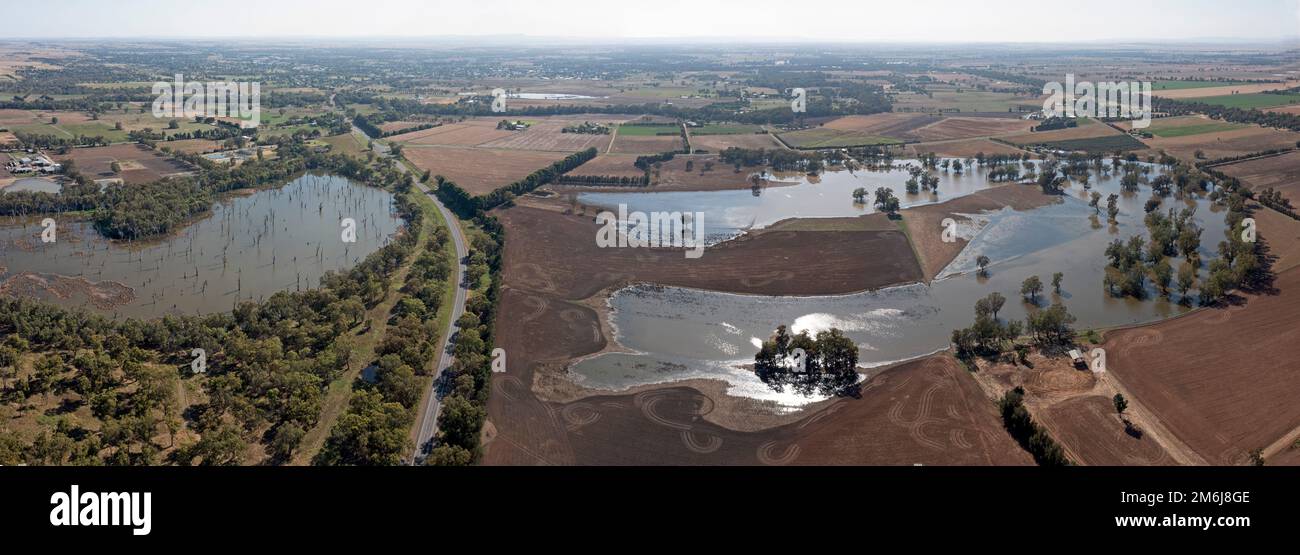 Receeding flood waters from the Lachlan river near the New South Wales central western town of Forbes. Stock Photo