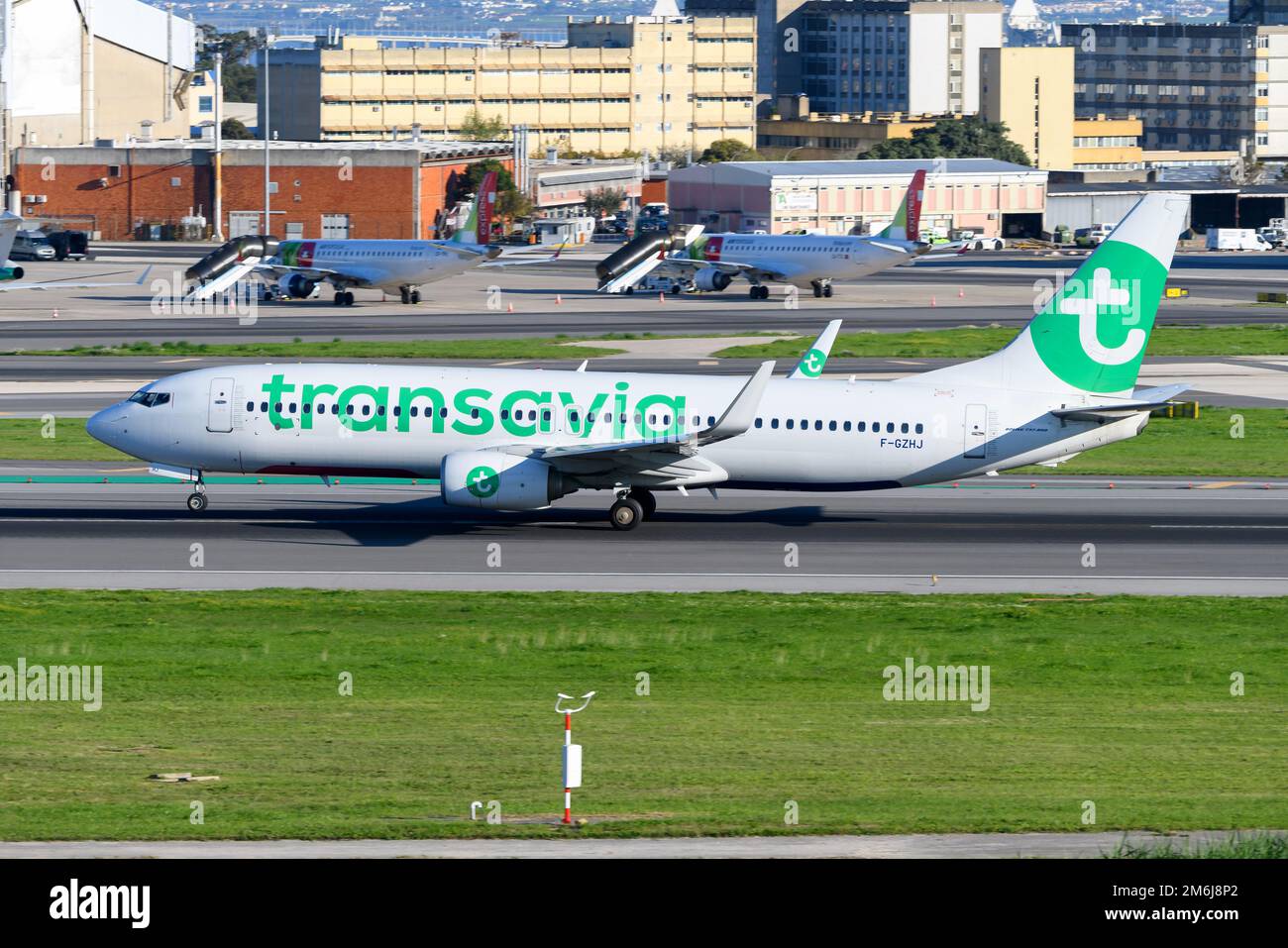 Jouet Avion Détaillé Petit Limox Boeing 737-800 Transavia PH-HXN 1
