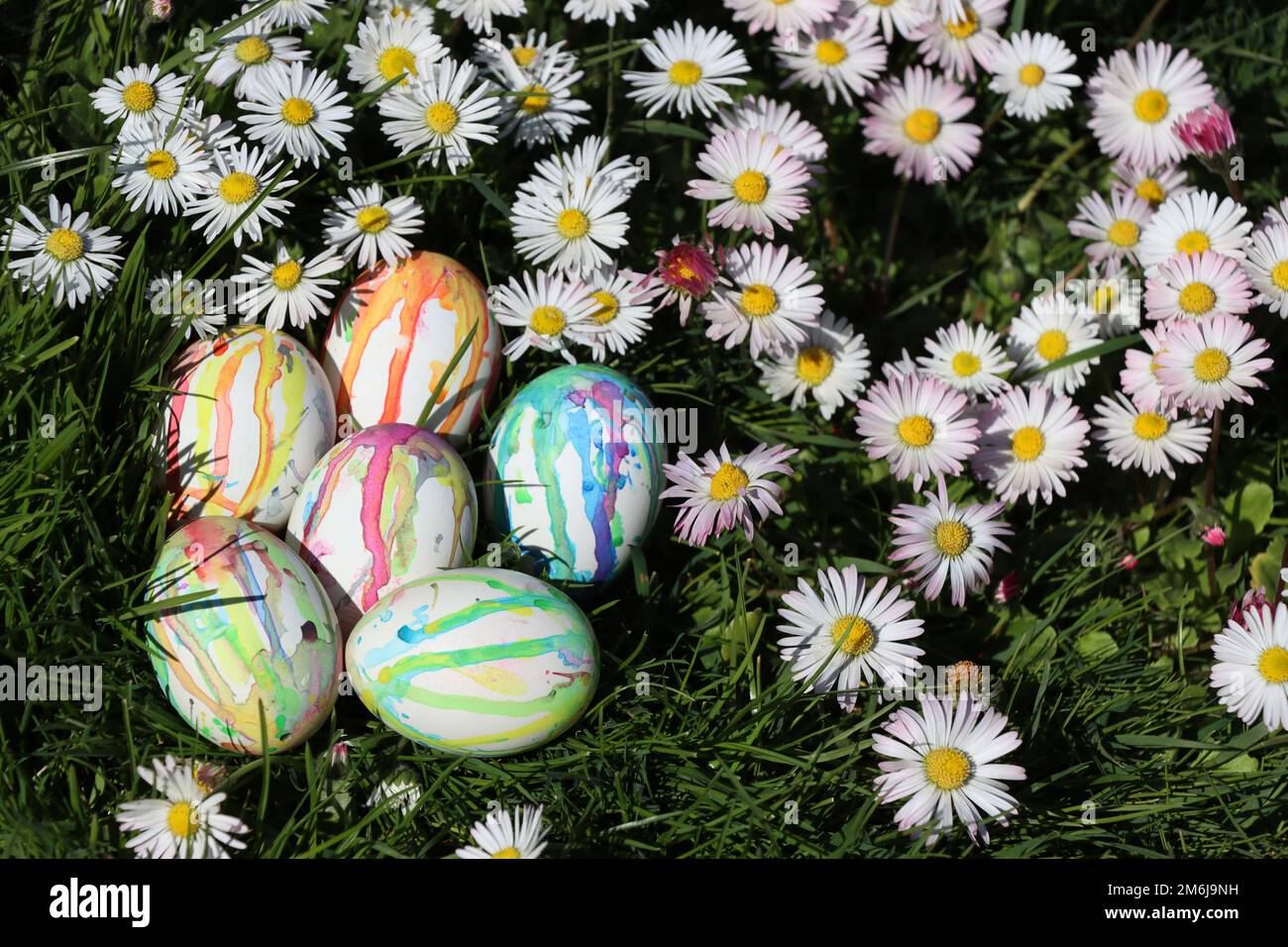Hand painted easter eggs among daisies on a meadow Stock Photo