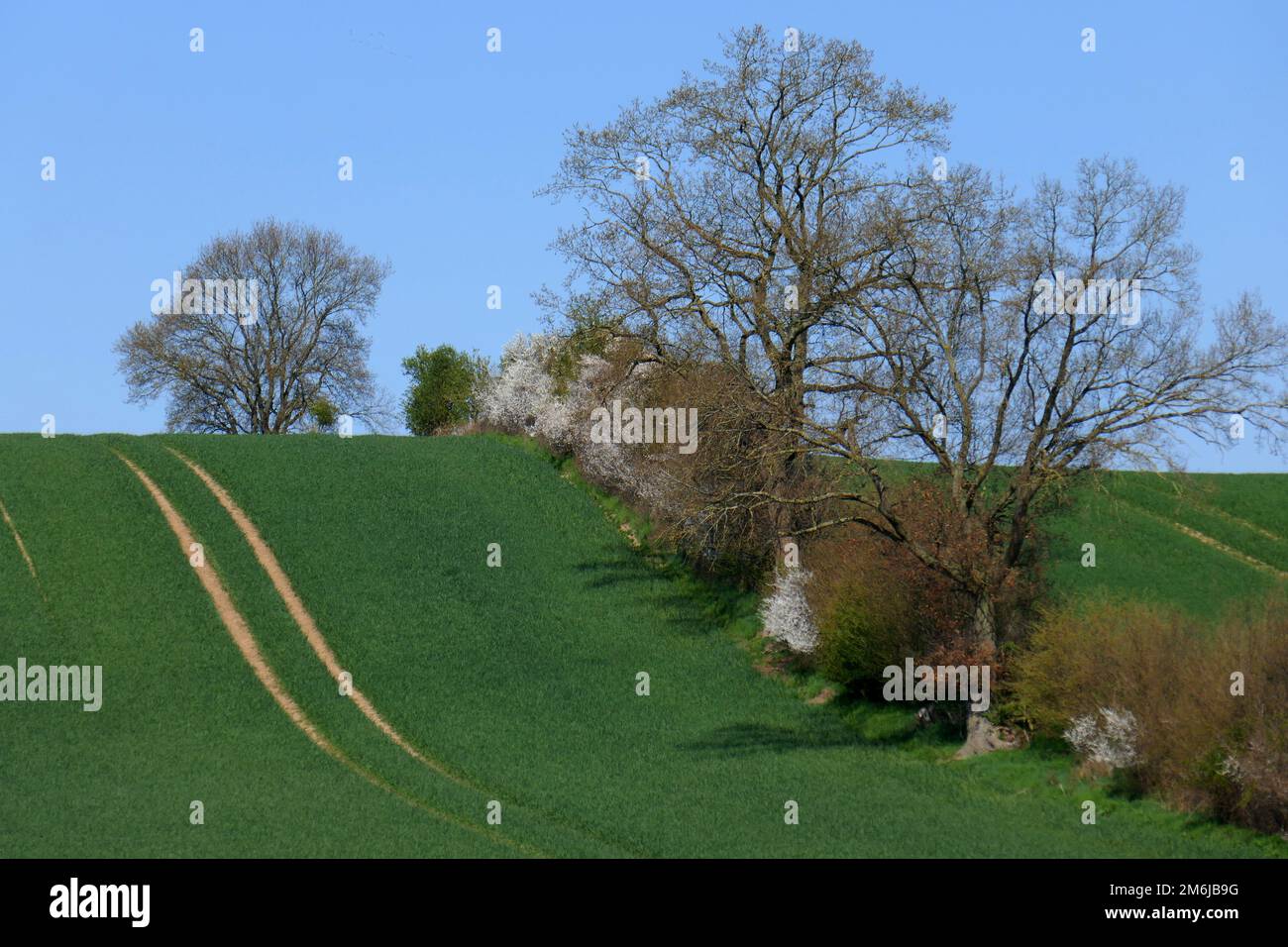 stellenangebote schleswig