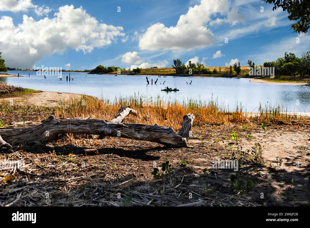 Can You Bring Dogs To Aurora Reservoir