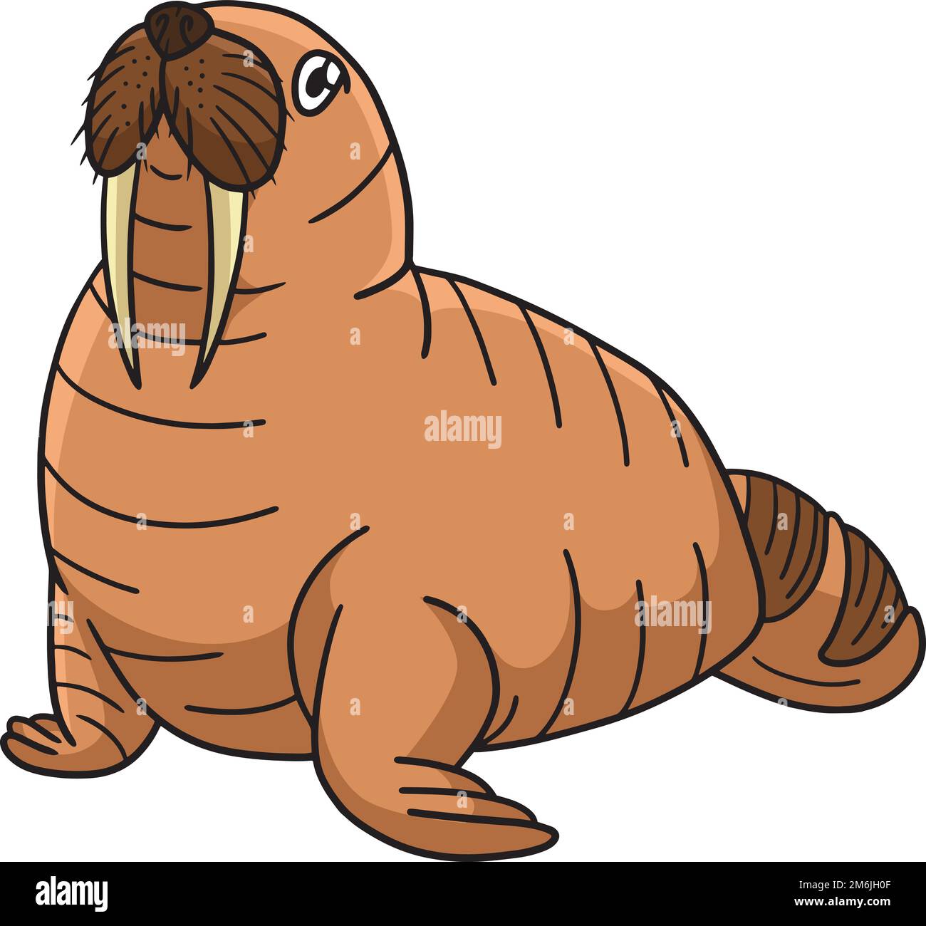 Walrus Marine Animal Cartoon Colored Clipart Stock Vector Image & Art
