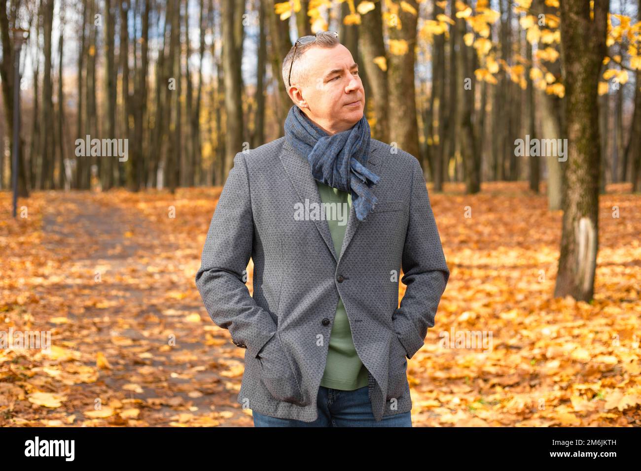 Portrait of middle-aged man standing, putting hands into pockets among yellow maple leaves in forest park in autumn. Stock Photo