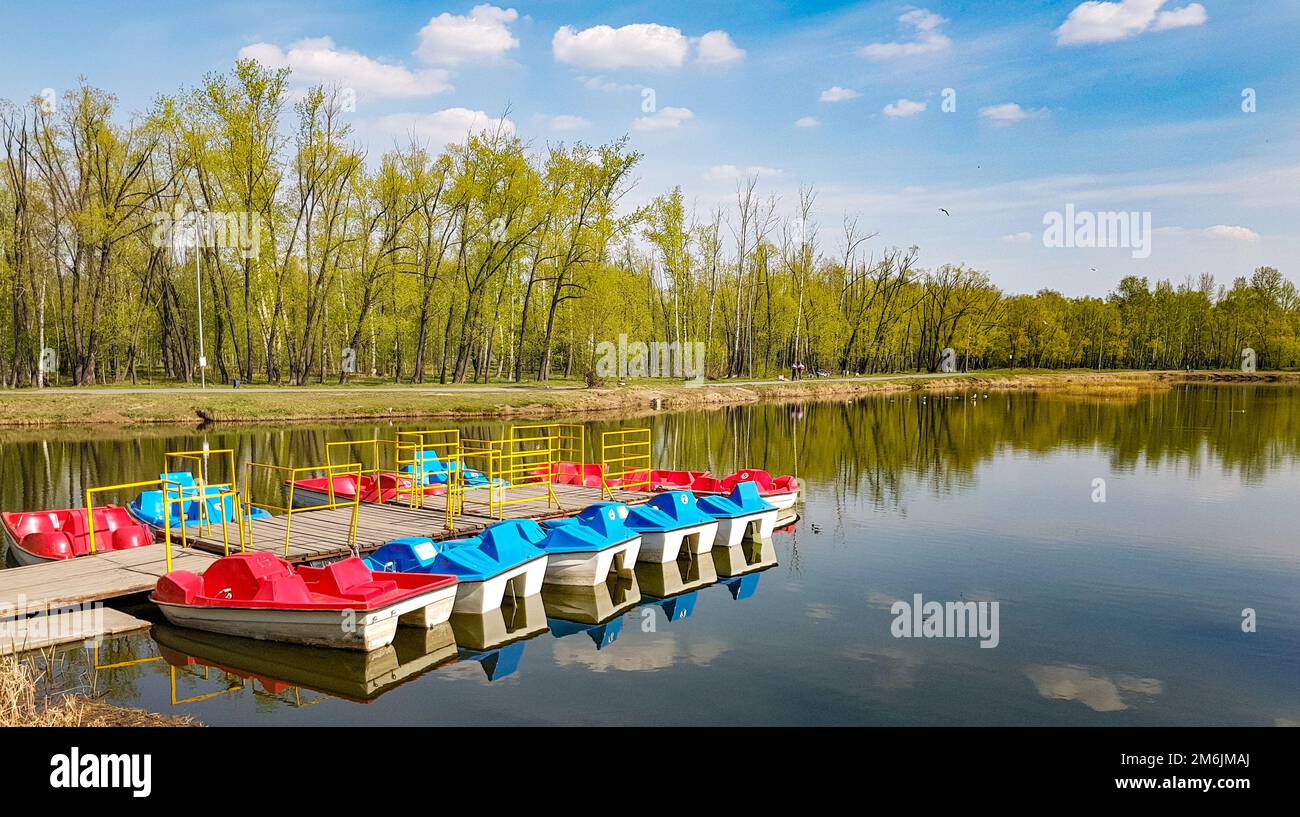 Colorful catamarans stand in a row at the wooden pier. Calm surface of the lake for water recreation. An empty embankment on an Stock Photo