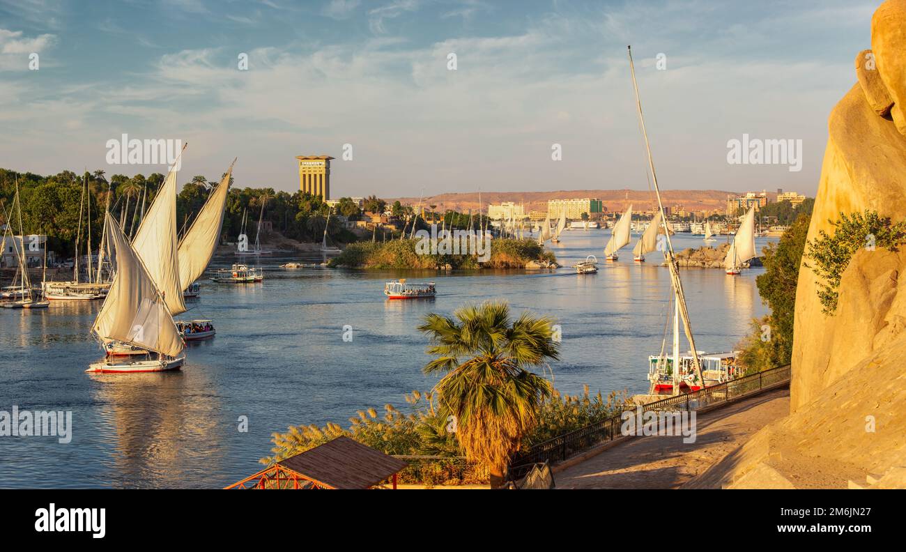Felucca boats on Nile river in Aswan Stock Photo - Alamy