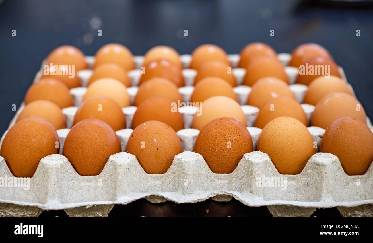 Chicken egg in a cell Stock Photo Alamy