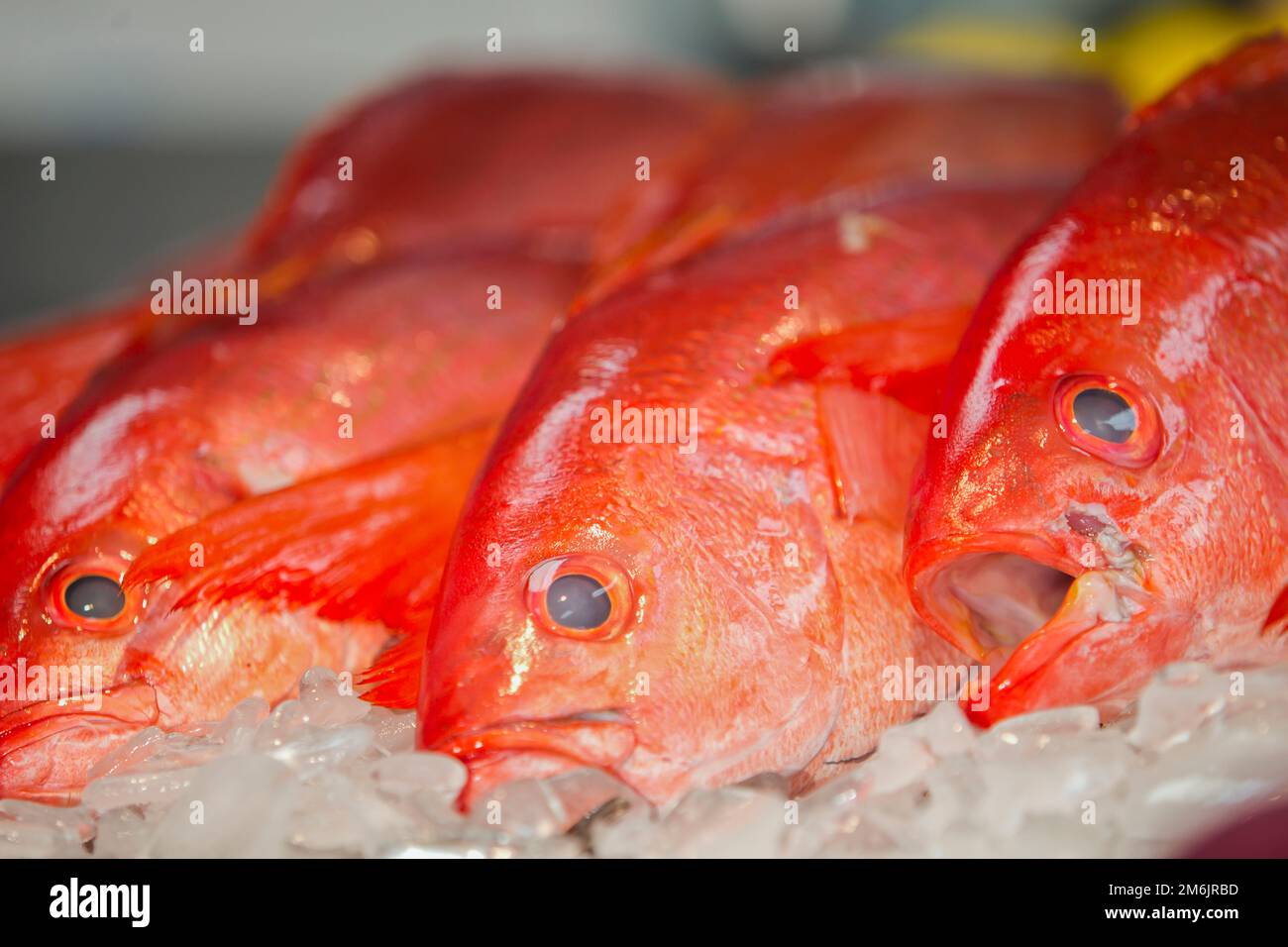 Gulf Seafood Market Pensacola, FL Stock Photo Alamy