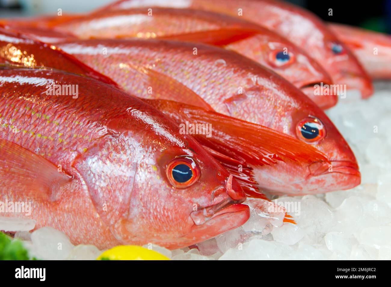 Gulf Seafood Market Pensacola, FL Stock Photo Alamy